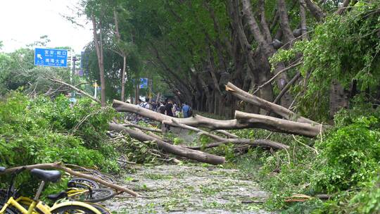 山竹 台风 台风山竹 中国沿海 沿海城市视频素材模板下载