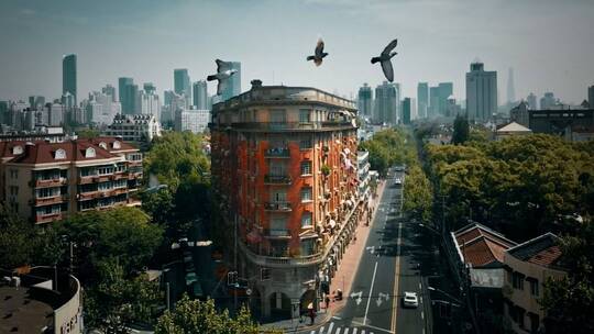 上海武康大楼 鸽子飞过视频素材模板下载