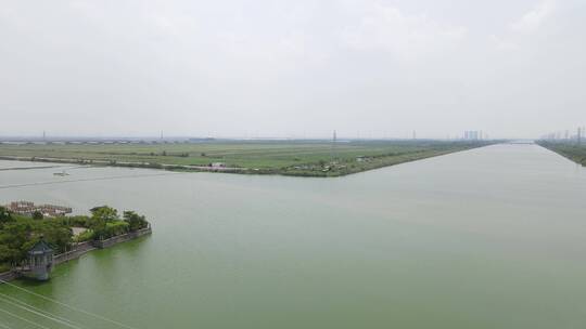 宁波慈溪杭州湾湿地草坪4K航拍视频素材模板下载