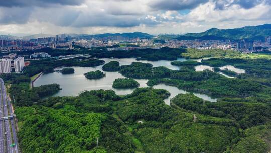 【正版素材】深圳龙华茜坑水库