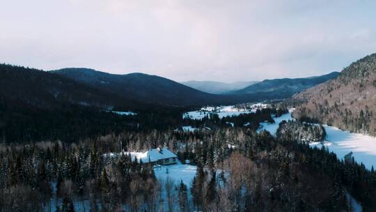 航拍冬天积雪覆盖地面的高山森林树林