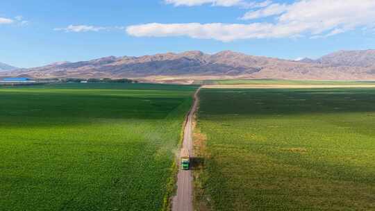 夕阳下绿色田野乡村公路航拍粮食丰收