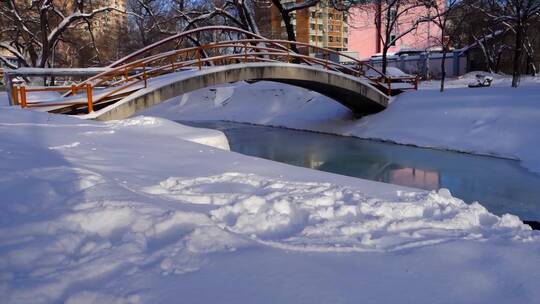 冬天公园老树小河雪景