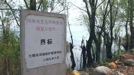 云南大理洱海生态保护示范区界碑石碑视频素材模板下载