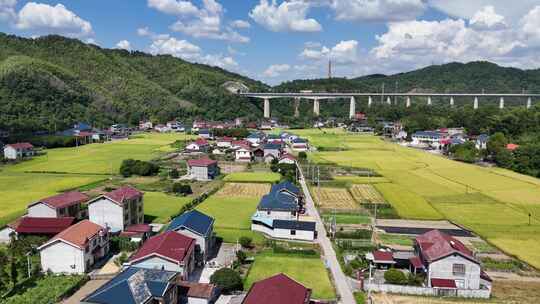 秋天美丽乡村田园金黄稻田农业种植航拍