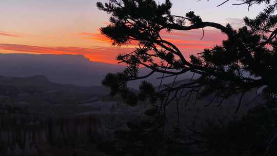 太阳落在山上和树上