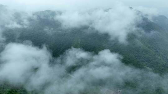 秦岭大自然青山绿水森林树林云雾