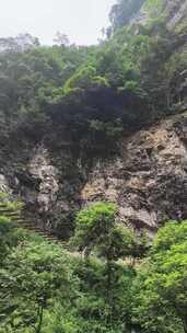 布满绿植的陡峭山壁及山壁上的阶梯