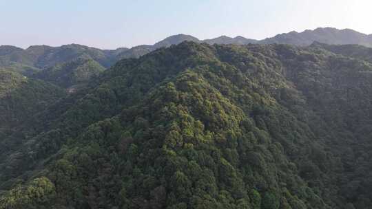 信丰油山赣南游击词