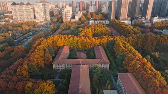 航拍城市落叶秋景西安交通大学