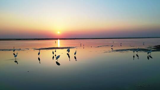 海滩日出，湖面日出