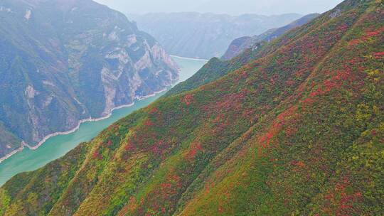 航拍巫峡红叶