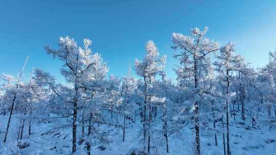 大兴安岭航拍林海雪原银装素裹