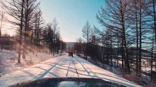 唯美雾凇雪松森林雪景