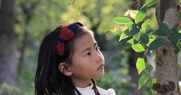 秋天阳光树叶可爱小女孩