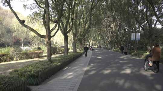 乘坐游览车在新昌大佛寺风景区视频素材模板下载