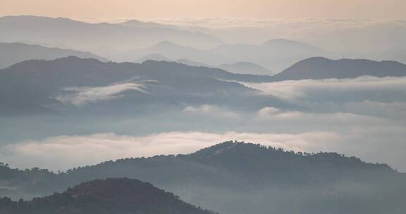 云雾缭绕的山林景观