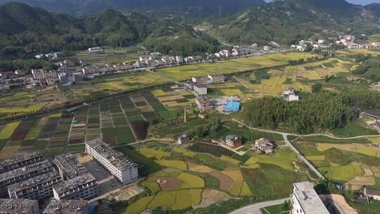 航拍乡村秋收稻谷土地