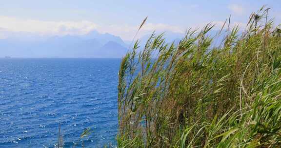 放松的海景