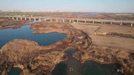 航拍 航拍元氏县 湿地保护区 鸟类栖息地