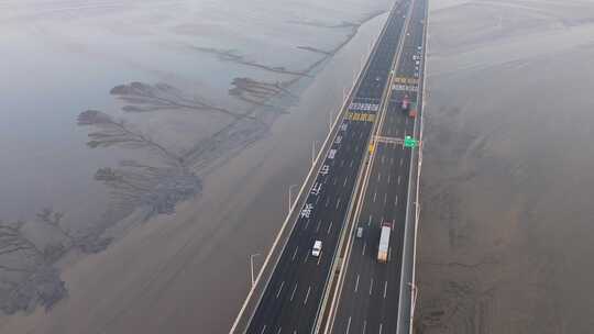 冬季浙江嘉兴嘉绍大桥钱塘江大地之树奇观