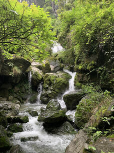 仙女山地缝景区小溪流水