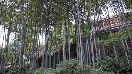 杭州千年古刹灵隐寺建筑视频