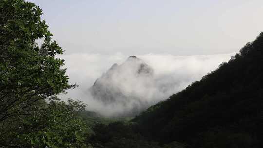 山顶云海延时