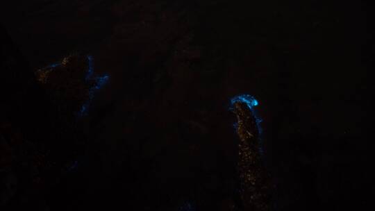 威海金海湾栈桥海边的荧光海