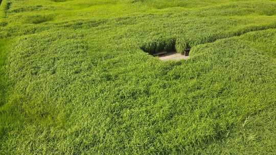 二里头夏都遗址博物馆