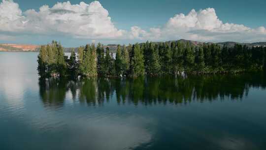 云南旅游滇池南岸湿地公园水中树林视频素材模板下载