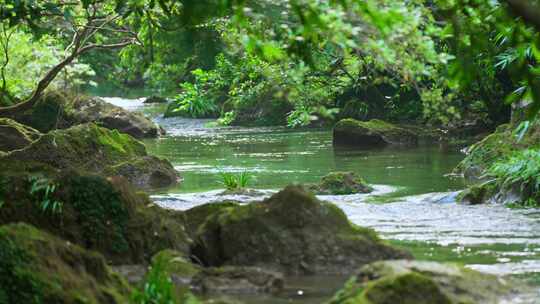 山间小溪山泉水溪流流水