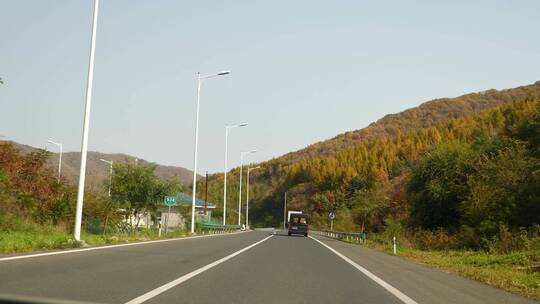 东北秋天公路风光视频素材模板下载