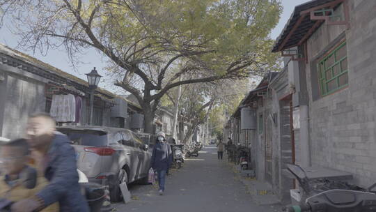 胡同秋天 北京人文生活