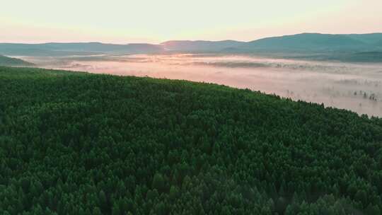 航拍绿色森林大自然风景