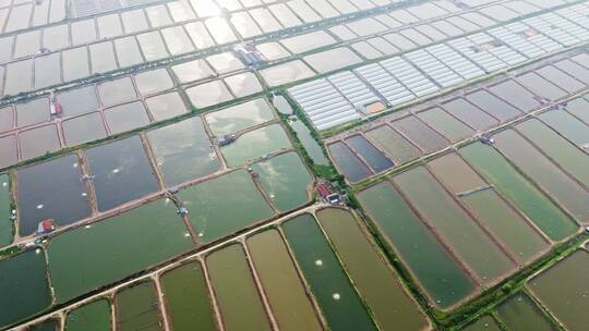 航拍养鱼池养殖场全景