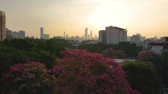 花城广州日落