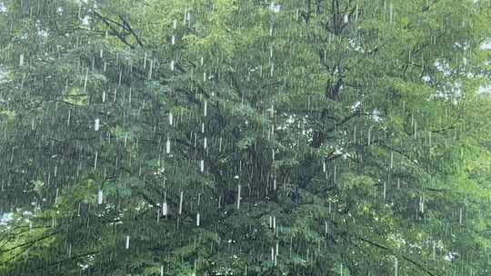 雨天水滴下雨意境