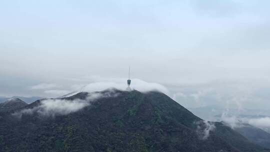 深圳梧桐山绿色生态