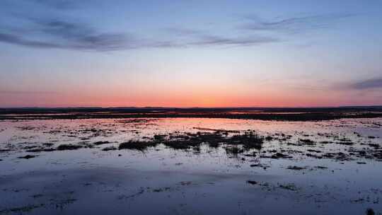 晨曦朝霞草原湿地水面上飞过的野鸭子
