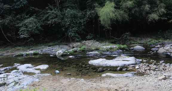 阳光溪流山涧密林原始生态风光