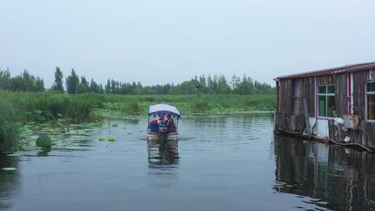 航拍夏天白洋淀