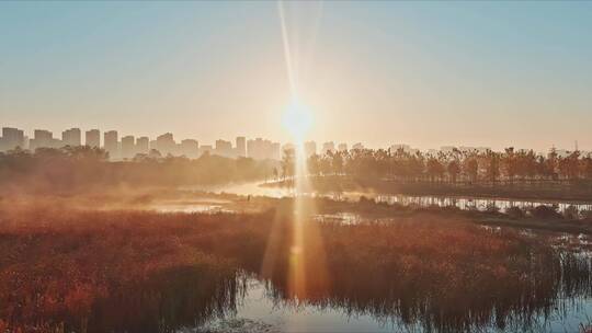 冬日朝阳里的城市湿地生态水系景观
