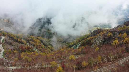 秋天 秋景 秋天云海 五彩斑斓秋天