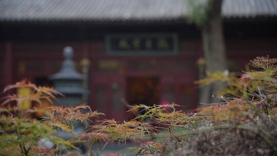 杭州飞来峰永福寺禅院风景