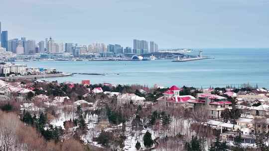 青岛雪景青岛冬天八大关太平角