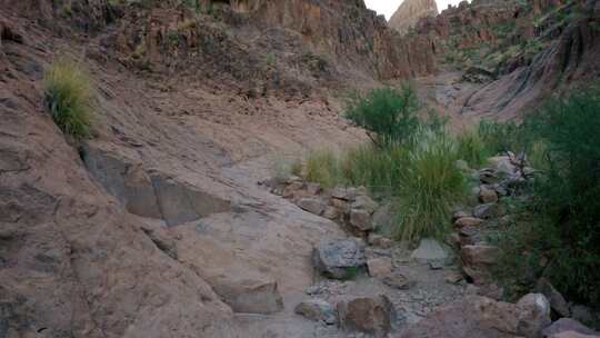 徒步旅行，峡谷，小径，徒步旅行者