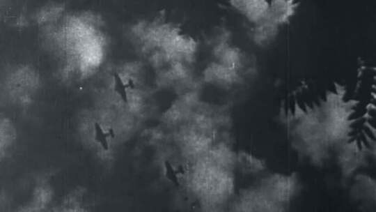 1937年 日军攻占南京沦陷南京保卫战总统府