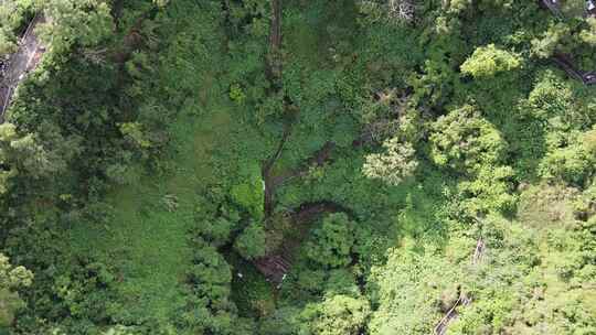 海口火山口公园风光