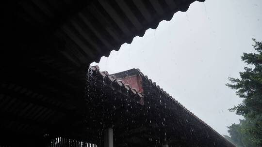 泉州市开元寺古厝屋檐雨滴雨天